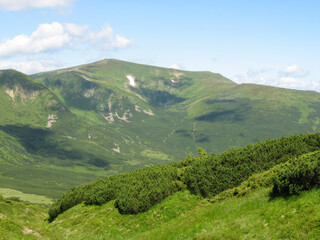 Naklejka premium The Carpathian Mountains. Ukraine, Europe, Earth.