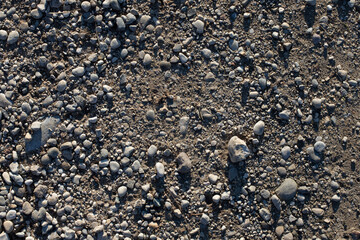Grey pebbles and soil texture. Small river pebbles background