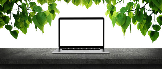 Laptop on concrete table with Bodhi leaf  background. 3D Illustration.