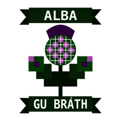 Thistle vector flower, green and purple coloured tartan. Symbol of Scotland. Alba gu brath is Scottish independence movement slogan