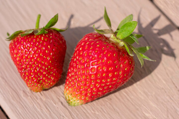 Close-up view of two ripe strawberries with long shadows because of hard sunlight on wooden background.