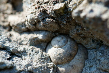 stone wall background