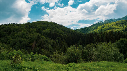 Fototapeta na wymiar Beautiful nature in the middle of Slovakia