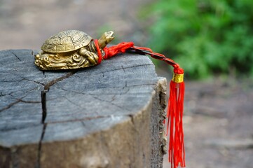 Metal turtle Feng Shui on a wooden background. Next to it are Chinese coins.