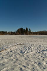 Astotin Lake Frozen in Winter
