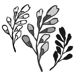 Modern isolated black and white geometric abstract illustration design of reed