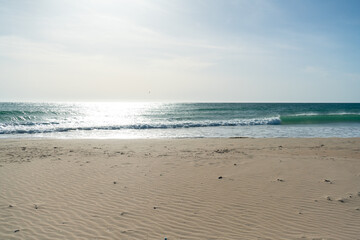 Waves breaking on a sandy beach, spray, white water and grass in foreground