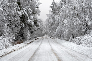 Winter road in January, Pskov region, Russia