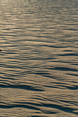 Small sand dunes built up by wind in sand on beach