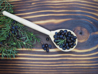 Ripe juniper berries in a wooden spoon, green twigs with fruits on a bright wooden background, top view, flat layout. Useful juniperus plant for use in medicine, cooking and beverage preparation