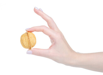 Nuts with condensed milk in hand on white background isolation