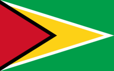 Guyana flag, official colors and proportion correctly. National Guyana flag.