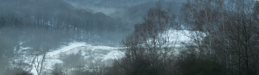 Obraz na płótnie Canvas Misty winter view. Forest landscape, mountain landscape. Panoramic view, atmospheric landscape. Background, texture. 