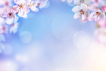 Blossom tree over nature background. Spring flowers. Spring Background.