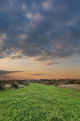 sunset over the field