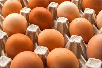 Farm organic eggs arranged in cardboard tray closeup