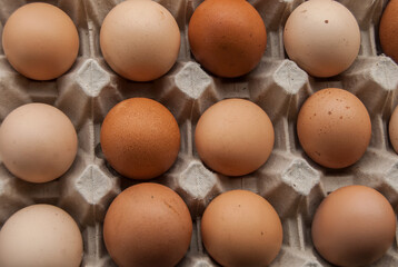 Farm organic eggs arranged in cardboard tray closeup