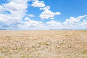 Wasteland in New Mexico, USA, July