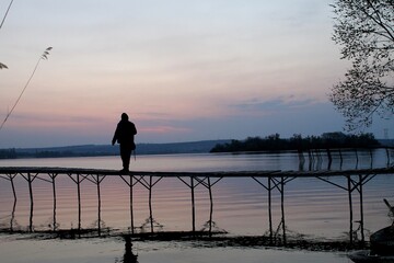 silhouette of a person
