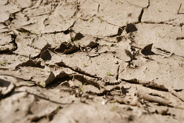 The texture of a heat cracked field. Global warming