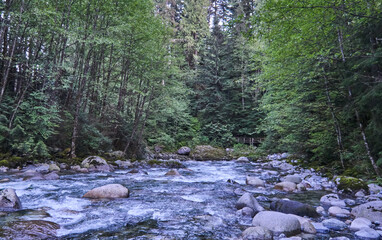 lynn canyon vancouver