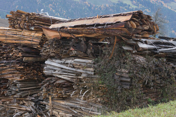 Stacked wood, cut logs in the nature nearby a lumber mill