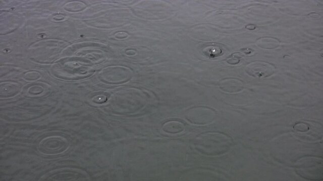 Raindrops fall on surface of freshwater lake.