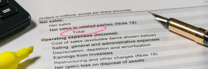 Income statement in stockholder report book. Accounting and financial report analysis.