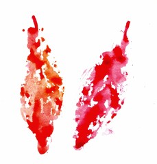 Bright juicy watercolor prints of leaves and mandarin on paper.  Warm tones