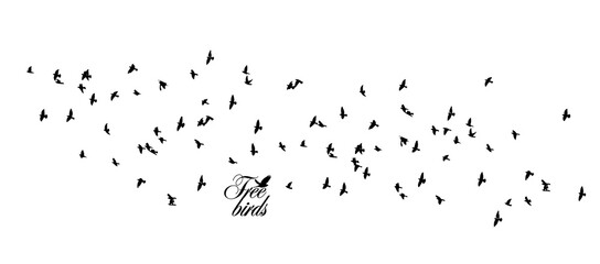 A large flock of flying birds. Vector illustration