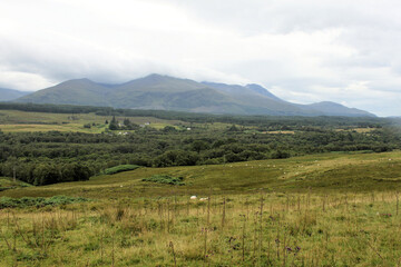 A view of the Scottish Countryside near Fort William and Ben Nevis