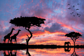 Safari in Africa at sunset