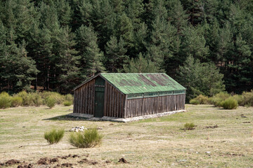casa abandonada en medio del monte