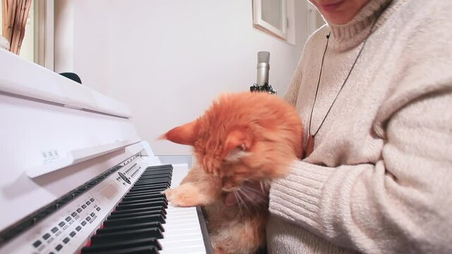 A ginger cat plays the piano with its paws while sitting on a woman's arms. Leisure activities in your free time. Self-isolation entertainment creativity.