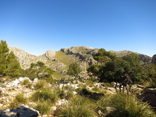 Fototapeta na wymiar Hiking area around mountain Puig Major at Mallorca, summer day
