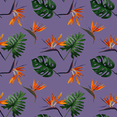 Seamless tropical pattern with  strelitzia with leaves on purple background. Seamless pattern with colorful leaves of colocasia, filodendron, monstera. Exotic wallpaper. Hawaiian style.