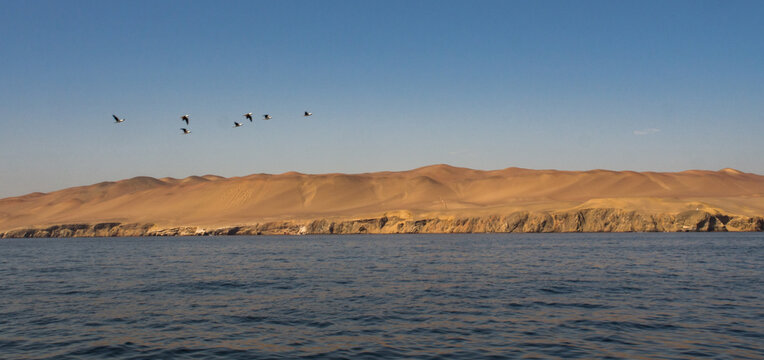 Paracas National Reserve