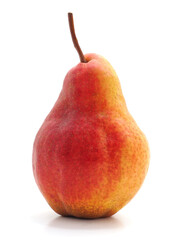 One red pear.