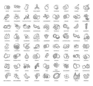 Fruits and berries vector icons. Fresh and natural ingredients