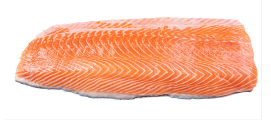 fresh salmon fillet