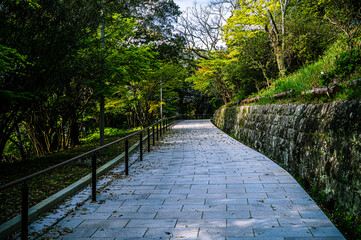 長崎平和公園の道