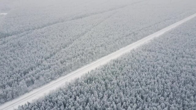 Aerial top view from drone, birds eye view of winter landscape and snowy ice road, car moving on area surrounded by beautiful coniferous forest 4k.