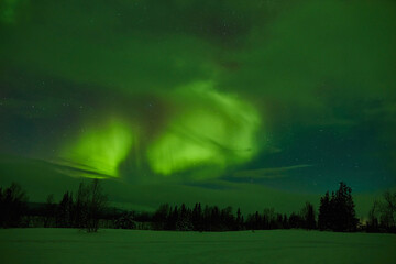 northern lights in the night sky