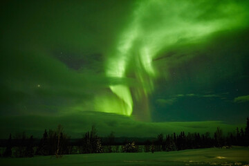 northern lights in the night sky