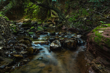 waterfall in the forest