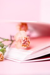 Little carnation tea rose color and open book on a pink background