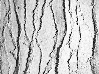Monochrome Rough Paper Texture unfolded and ripped