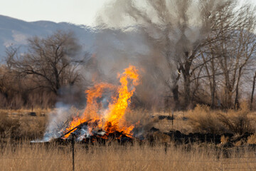 Trash burning in a rural field.