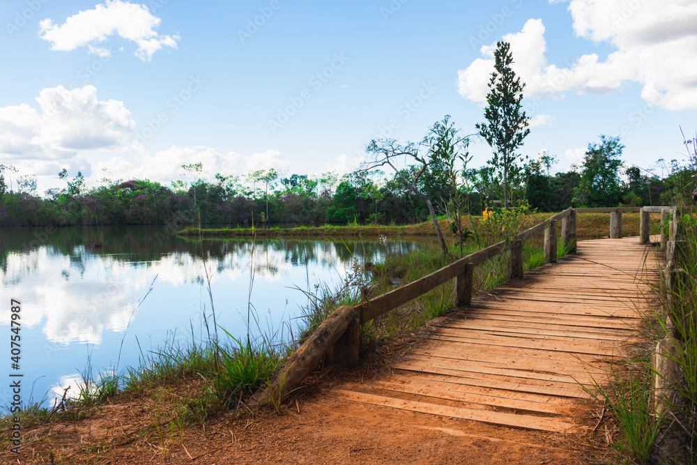 Canvas Prints lake in the forest