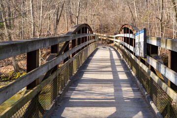 wooden bridge in the forest